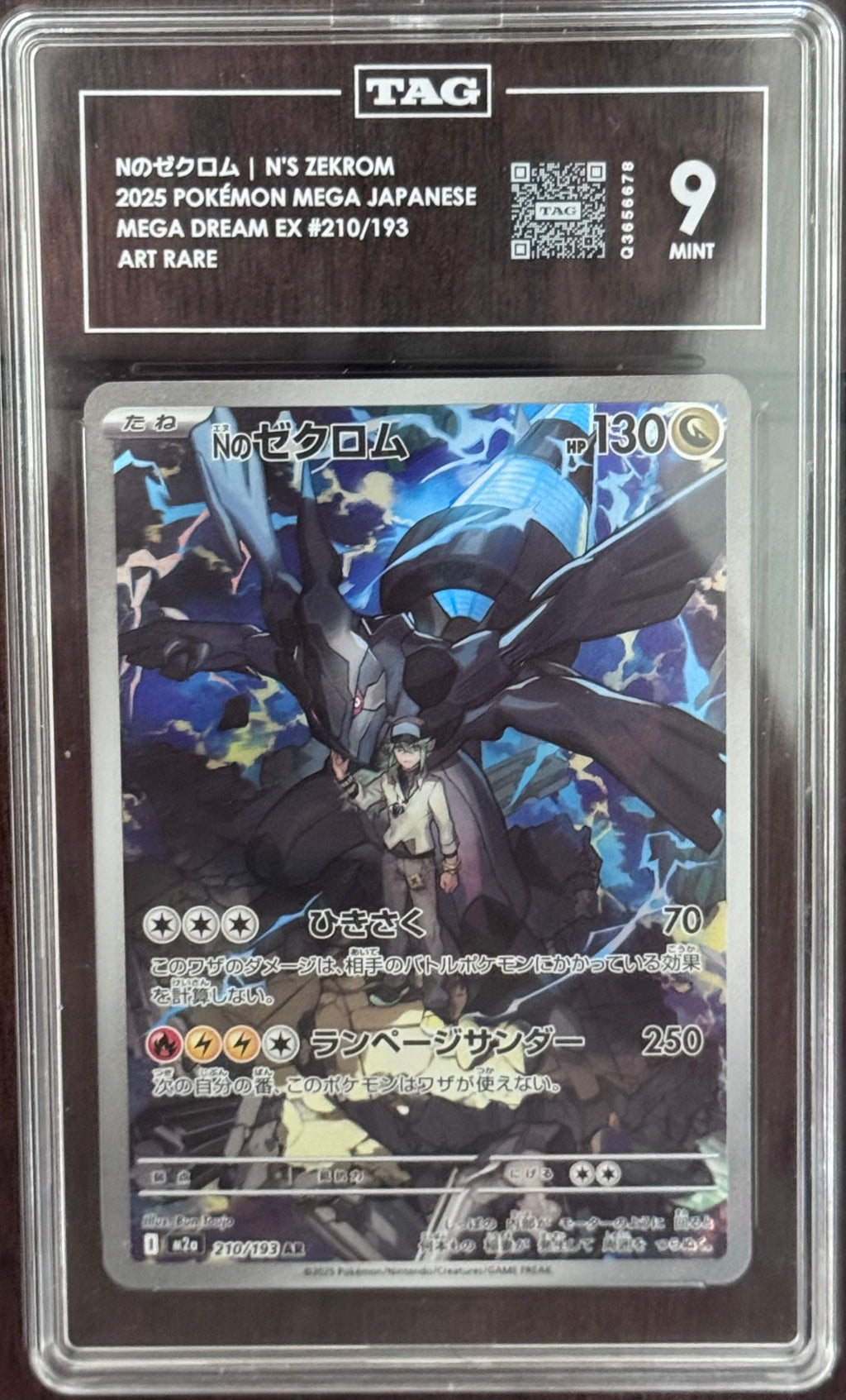 N's Zekrom - TAG 9 Mega Dream Ex
