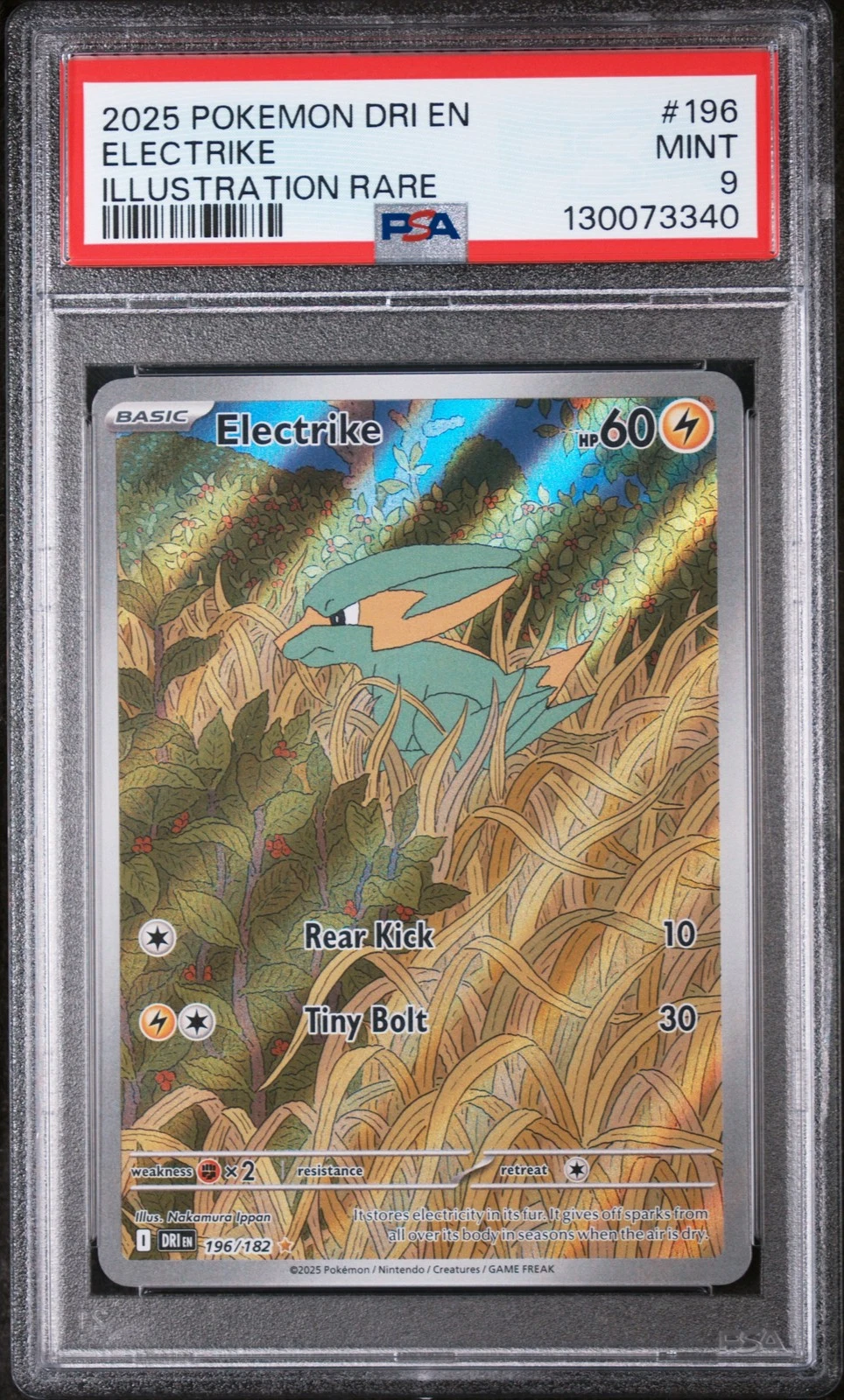 2025 Pokemon Dri En-Destined Rivals #196 Electrike Illustration Rare PSA 9