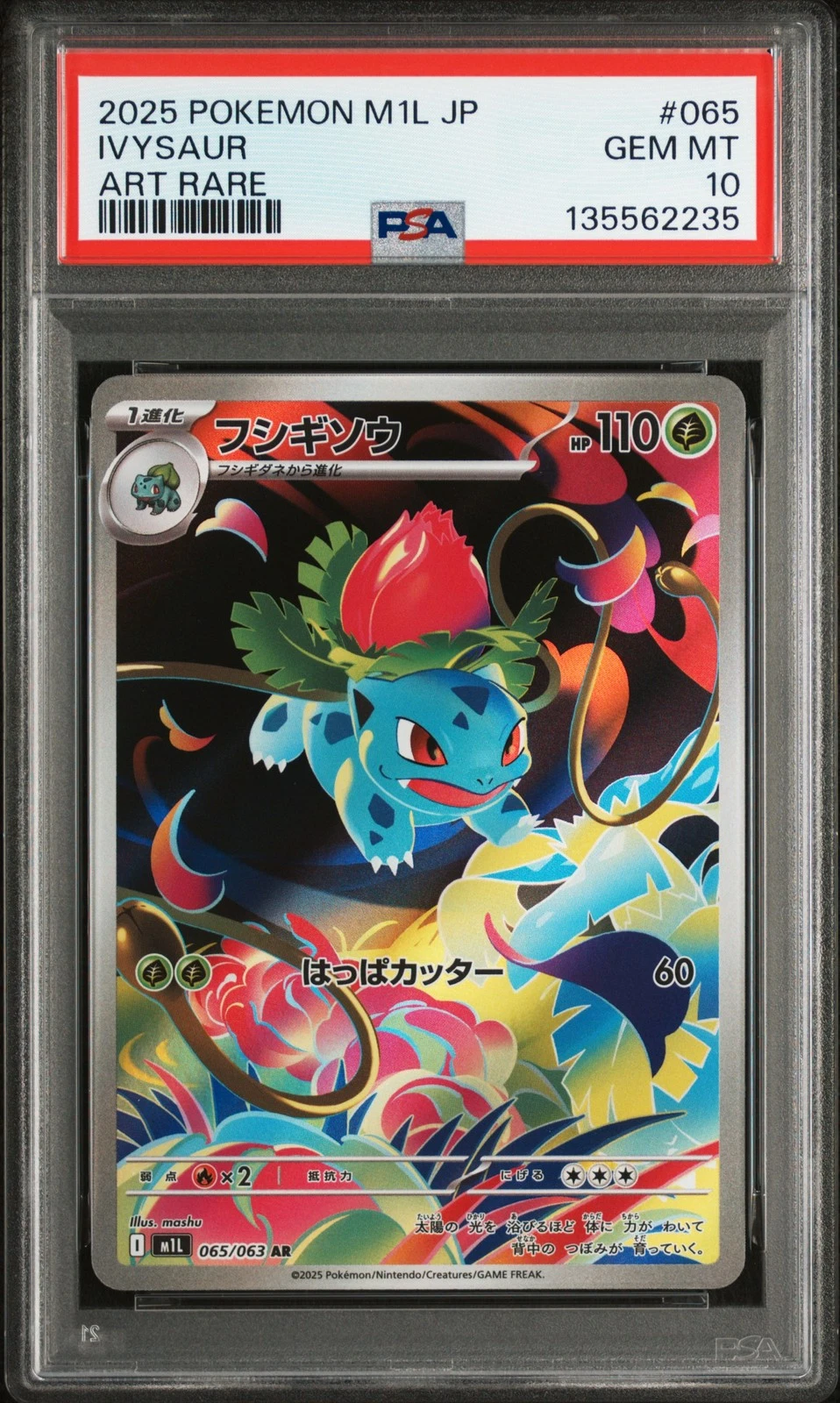 2025 POKEMON JAPANESE M1L-MEGA BRAVE ART RARE #065 IVYSAUR PSA 10